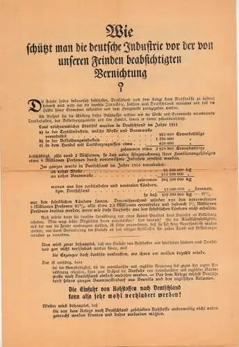 anonym: Wie schützt man die deutsche Industrie vor der von unseren Feinden beabsichtigten Vernichtung?. 