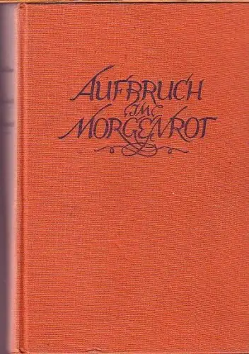 Aufbruch im Morgenrot. Ein Roman aus bewegter Zeit