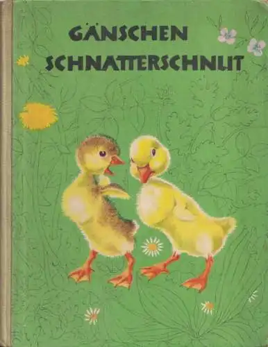 Raedel, Margit (Text) - Veronika Fritsche (Illustr.): Gänschen Schnatterschnut. 