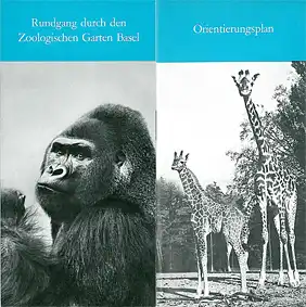Zoo Basel Rundgang durch den Zoologischen Garten Basel (Gorilla &quot;Stefi&quot;/Giraffen) (Erwachsene: Fr 4.--)