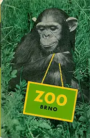 Zoo Brno, Tschechien Brno Zoo (Schimpanse)