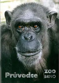 Zoo Brno, Tschechien Parkführer (Schimpanse)