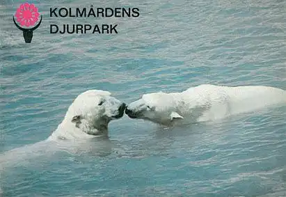 Zoo Kolmarden Kurzinfo mit Lageplan (Eisbären)