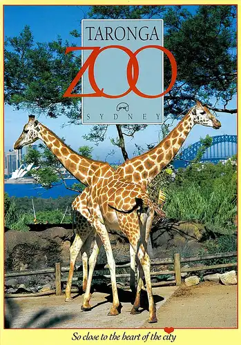 Taronga Zoo Guide & Map (Giraffen) &quot;So close to the heart of the city&quot;