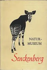Naturmuseum Senckenberg Museumsführer (Okapi)