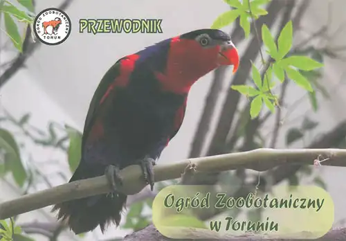 Zoologischer Garten Torun Przewodnik, Zooführer (Papagei)