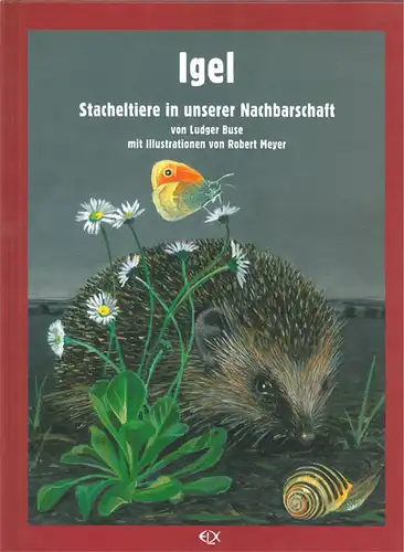 Igel. Stacheltiere in unserer Nachbarschaft. 