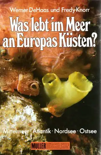 Was lebt im Meer an Europas Küsten?. 