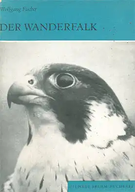 Der Wanderfalk. Falco peregrinus und F. pelegrinoides. (Neue Brehm-Bücherei Heft 380). 