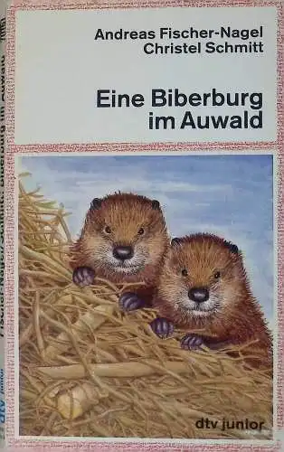 Eine Biberburg im Auwald. 