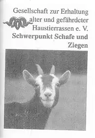Schwerpunkt Schafe und Ziegen. 