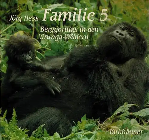 Familie 5. Berggorillas in den Virunga-Wäldern. Mit Zeichnungen von Sophie Köhler. 