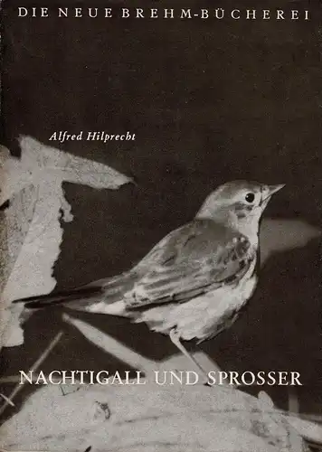 Nachtigall und Sprosser. (Neue Brehm-Bücherei, Band 143). 