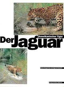 Der Jaguar - Amerikanischer Tiger. 
