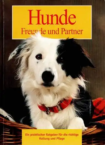 Hunde. Freunde und Partner. Ein praktischer Ratgeber für die richtige Haltung und Pflege. 