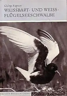 Weissbart- und Weissflügelseeschwalbe. Neue Brehm-Bücherei Band 516. 