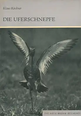 Die Uferschnepfe. Limosa limos (Neue Brehm-Bücherei. Heft 413). 