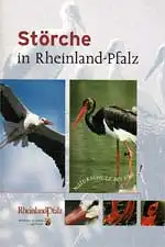 Störche in Rheinland-Pfalz. 