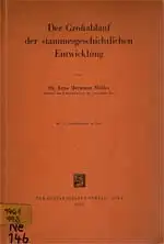 Der Großablauf der stammesgeschichtlichen Entwicklung. 
