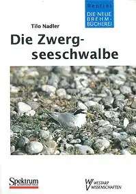 Die Zwergseeschwalbe. (Sterna albifrons) Neue Brehm-Bücherei Band 495. 