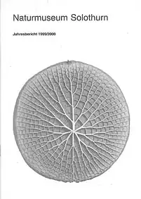 Jahresbericht 1999/2000. 