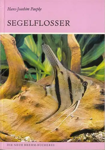Segelflosser. Die Gattung Pterophyllum (Neue Brehm-Bücherei. Heft 519). 