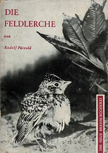 Die Feldlerche. Alauda arvensis L. (Neue Brehm-Bücherei, Heft 323) Mit Widmung des Verfassers!. 