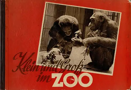 Klein und Groß im Zoo. 