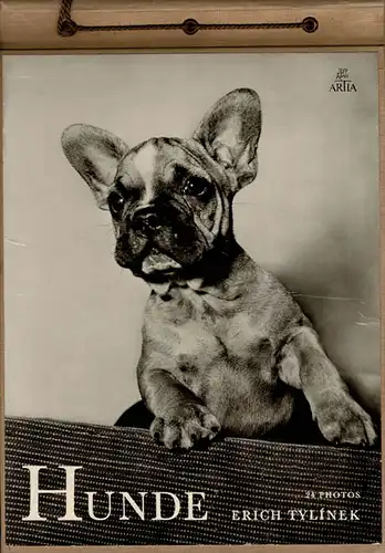 Hunde. 24 Photos. 