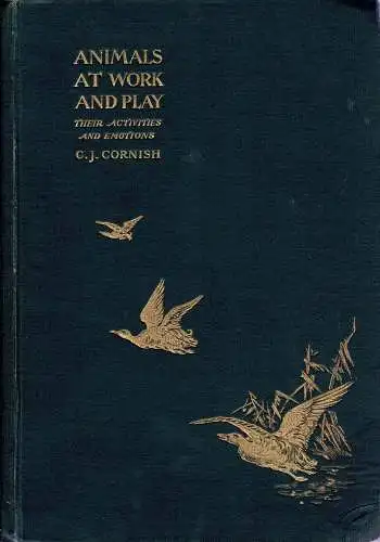 Animals At Work and Play. Their Activities and Emotions. 