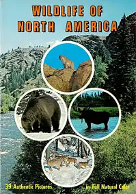 Wildlife of North America. 