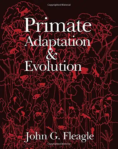 Primate Adaptation & Evolution. 