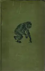 Gorillas & Chimpanzees. 