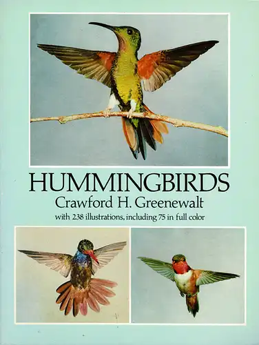 Hummingbirds. 