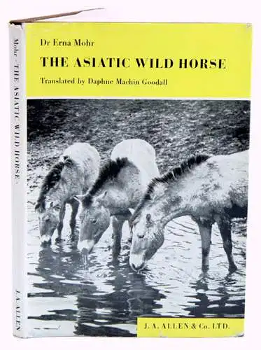 The Asiatic Wild Horse. Equus przevalskii Poliakoff, 1881. 