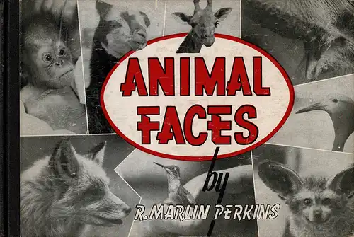 Animal Faces. 