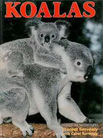 Koalas. 