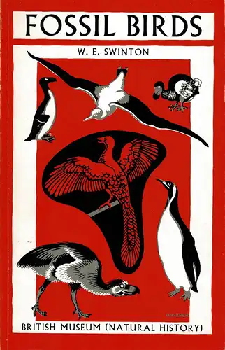 Fossil Birds. 