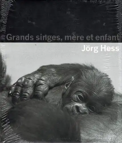 Grands singes, mère et enfant. 