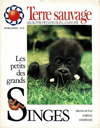 Terre sauvage hors série n° 1 - Les petits des grandes singes, orang-outan, gorille, chimpanzé. 