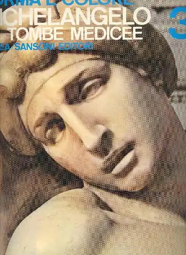 Forma e colore. Michelangelo. Le Tombe Medicee. 3. 