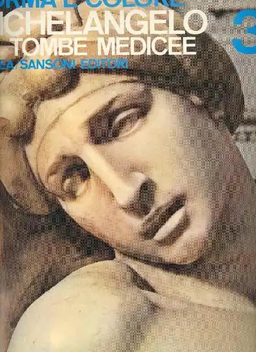 Forma e colore. Michelangelo. Le tombe medicee. 3. 