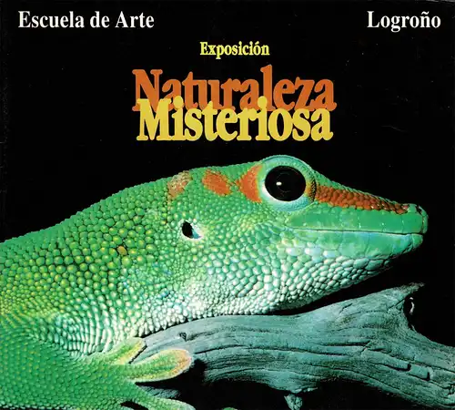 Exposición: Naturaleza Misteriosa (Fotos von Insekten, Fröschen etc.). 