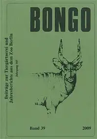 Bongo Band 39. 