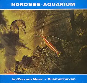 Nordsee-Aquarium im Zoo am Meer Bremerhaven (Seepferdchen, Garnele). 