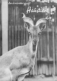 Der Zoodirektor erz?hlt: Haustiere I. Teil (Schraubenziegenbock). 