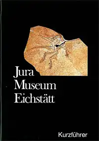 Kurzführer Jura-Museum Eichstätt. 