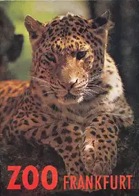 Wegweiser (Leopard). 