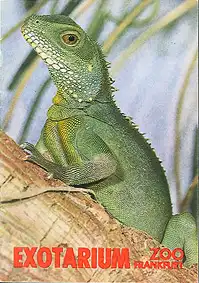 Wegweiser Exotarium (Wasseragame, Rückseite Fisch). 