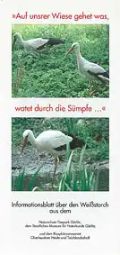 Informationsblatt ?ber den Wei?storch. 